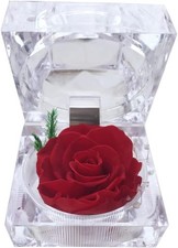 Preserved Rose Real Forever in Mini Clear Ring Box, Eternal Flower Red