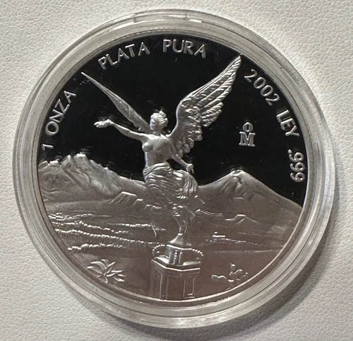 2002 Mexican Silver Libertad 1 oz — photo from another recent sale