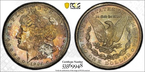 1884-CC Carson City Morgan Dollar Toned Toner PCGS MS64 Silver Us Coin