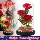 Rose in Glass Dome Eternal Flower LED Enchant Valentine's Day Wedding Decor Gift
