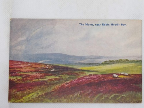 AK: Die Mauren, Nr. Robin Hood's Bay, North York Moors - unbespielt