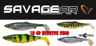 Savage Gear LB 4D Herring Shad 16 cm / 28 g. / Farbauswahl