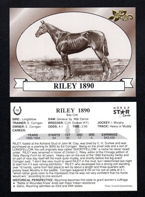 Riley 1890 Kentucky Derby Winner 1990 Horse Star Cards Gold Foil Rare!