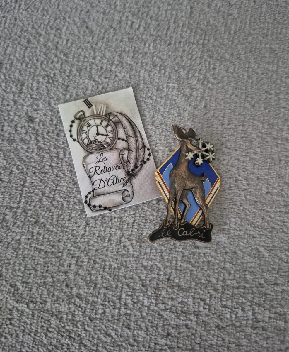 RARE INSIGNE ESF CHAMOIS DE FRANCE ARGENT EUR 35,00 - PicClick FR