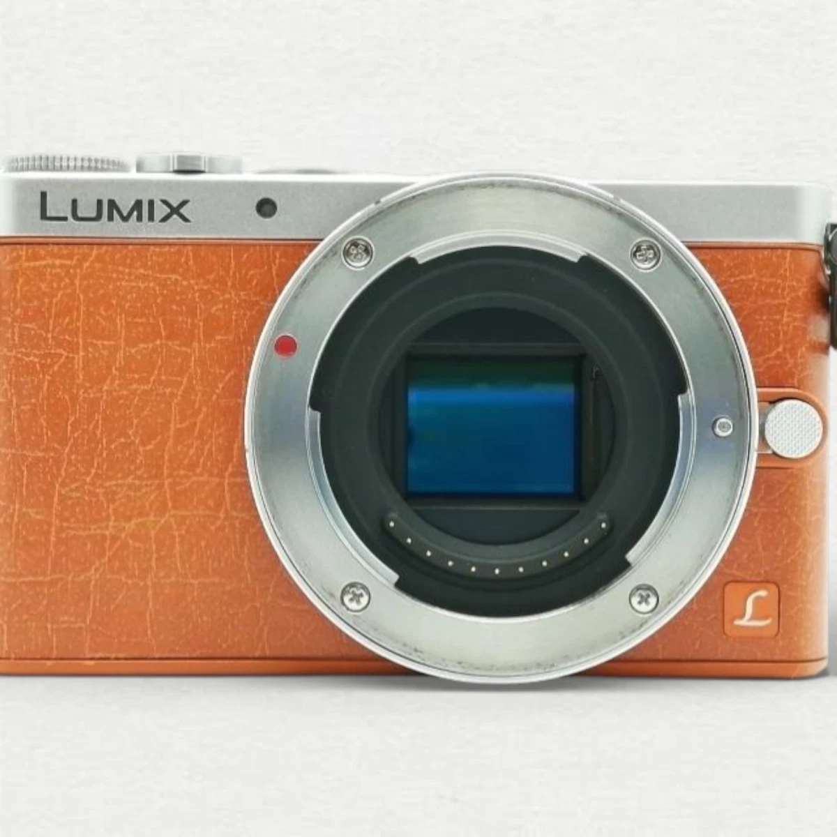 Panasonic LUMIX GM1 14-16.9MP Digital Cameras for Sale | Shop New