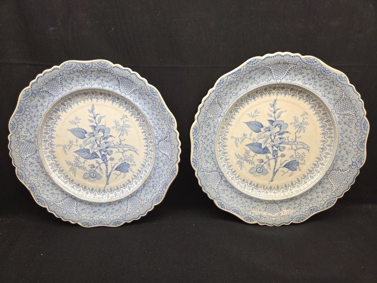 Asiatic Plants Blue Transferware Staffordshire Plate Set Of 2
