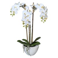 Kunstpflanze Mini-Orchidee Phalaenopsis, Weiß, HöHe Ca. 51 Cm