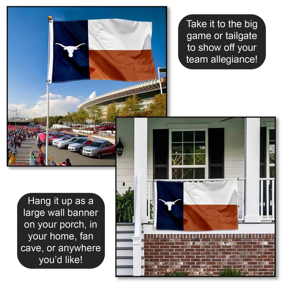 Bandera estatal Texas Longhorns TX Foto 4 de 4