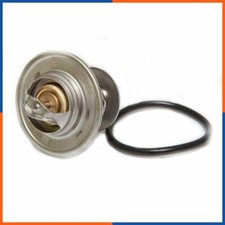 Thermostat Audi 60