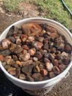 5 gallon bucket of Lake Superior agates top quality!!💎💎 — photo 4