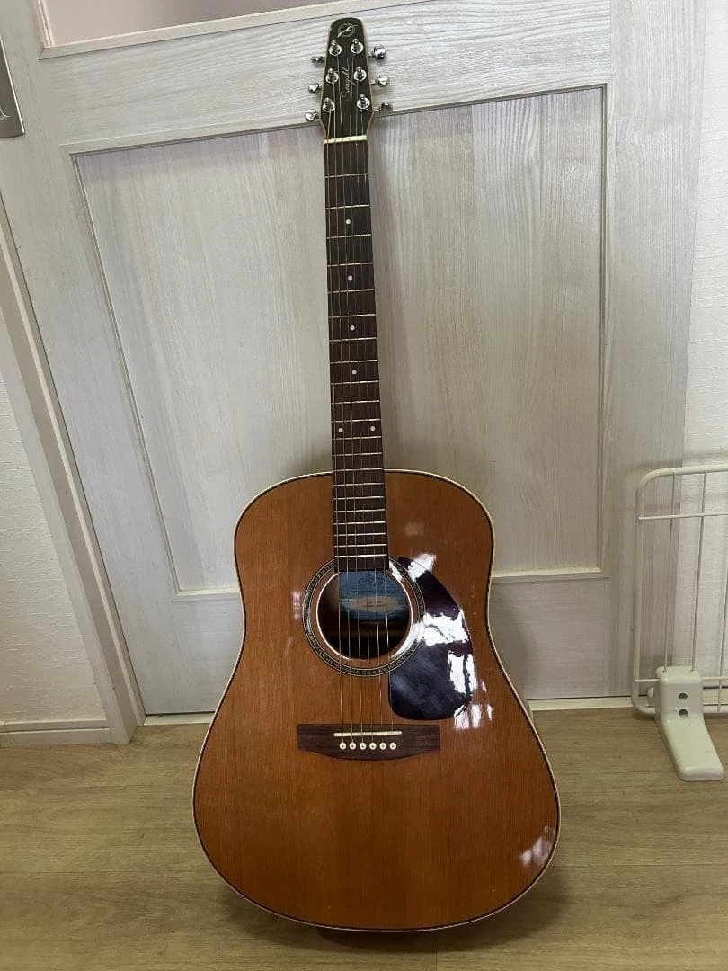 Seagull MaritimeCedarGTアコースティックギター ギグバッグ seagull gig bag products for sale | eBay