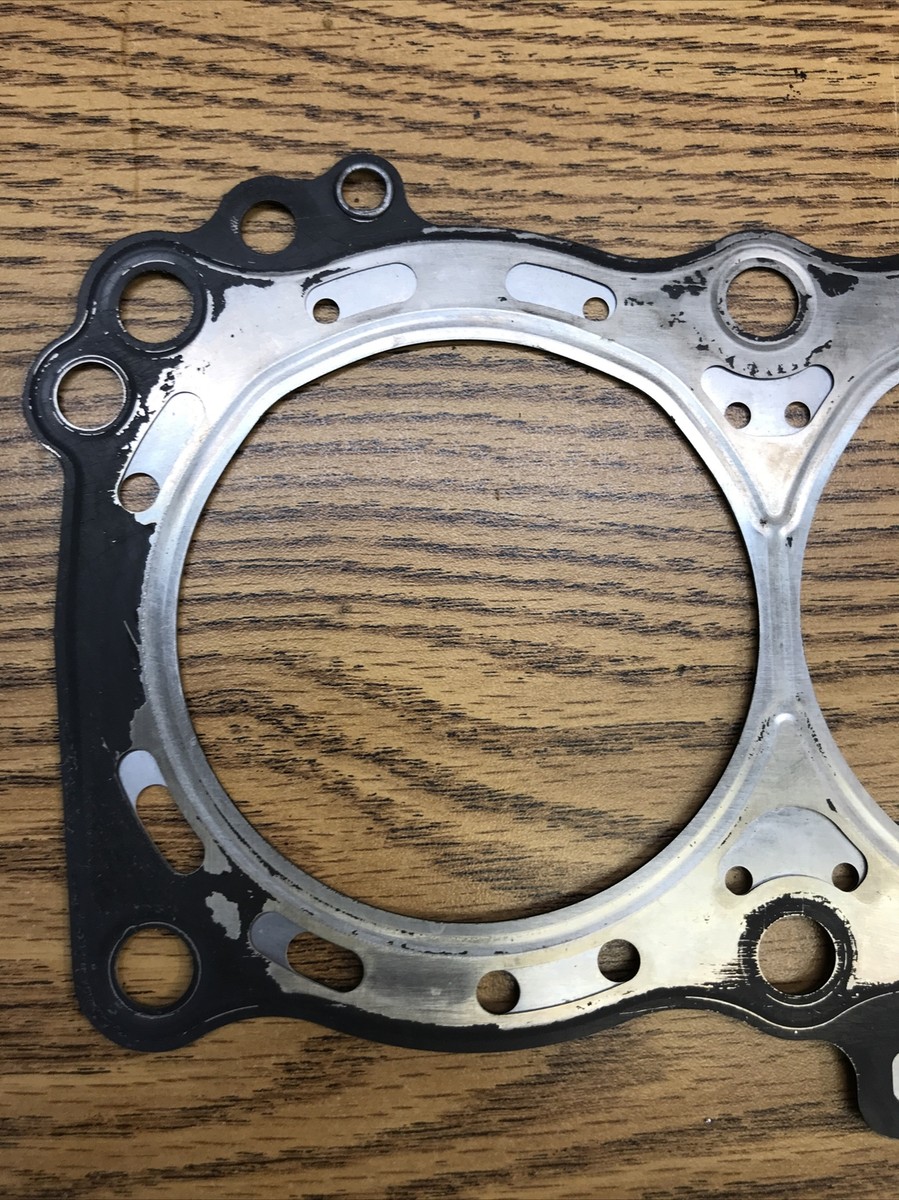 カリン　1225 Amazon.com: Caltric Cylinder Head Gasket Compatible with