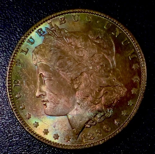 1886!P Morgan  Dollar UNCIRCULATED Monster Toning Overse And Reverse -78