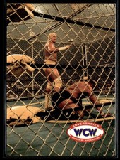 Dustin Rhodes: 1995 CARDZ WCW Main Event (Adversaries) Rookie #71