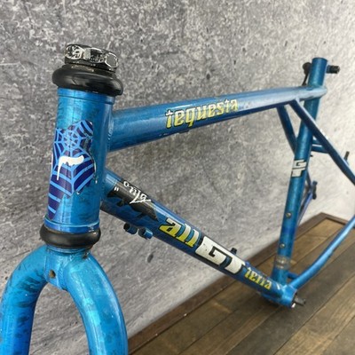 GT GT TEQUESTA old mtb フレーム TANGE クロモリ 26 TEQUESTA old mtb