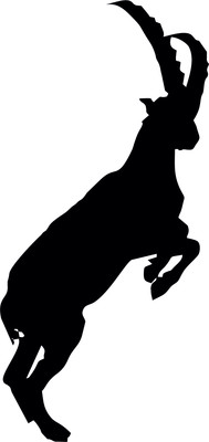 2 x car sticker zodiac sign ''Capricorn'' Capricorn car sticker decal approx. 11x6cm