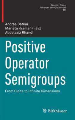 Positive Operator Semigroups: From Finite to Infinite Dimensions by Bátkai: New