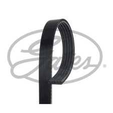 5 Rib Multi V Drive Belt 5PK925 Gates 71719079 2521204100 MD180106 07K145933C