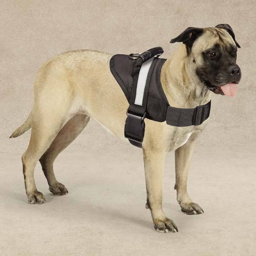 No Pull Padded Handle Harnesses for Dogs Excursion Training Service Harness - 第 1/10 張圖片