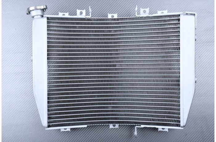 Radiateur Kawasaki ZX10R 2005 Remplacement Idéal après Fuite