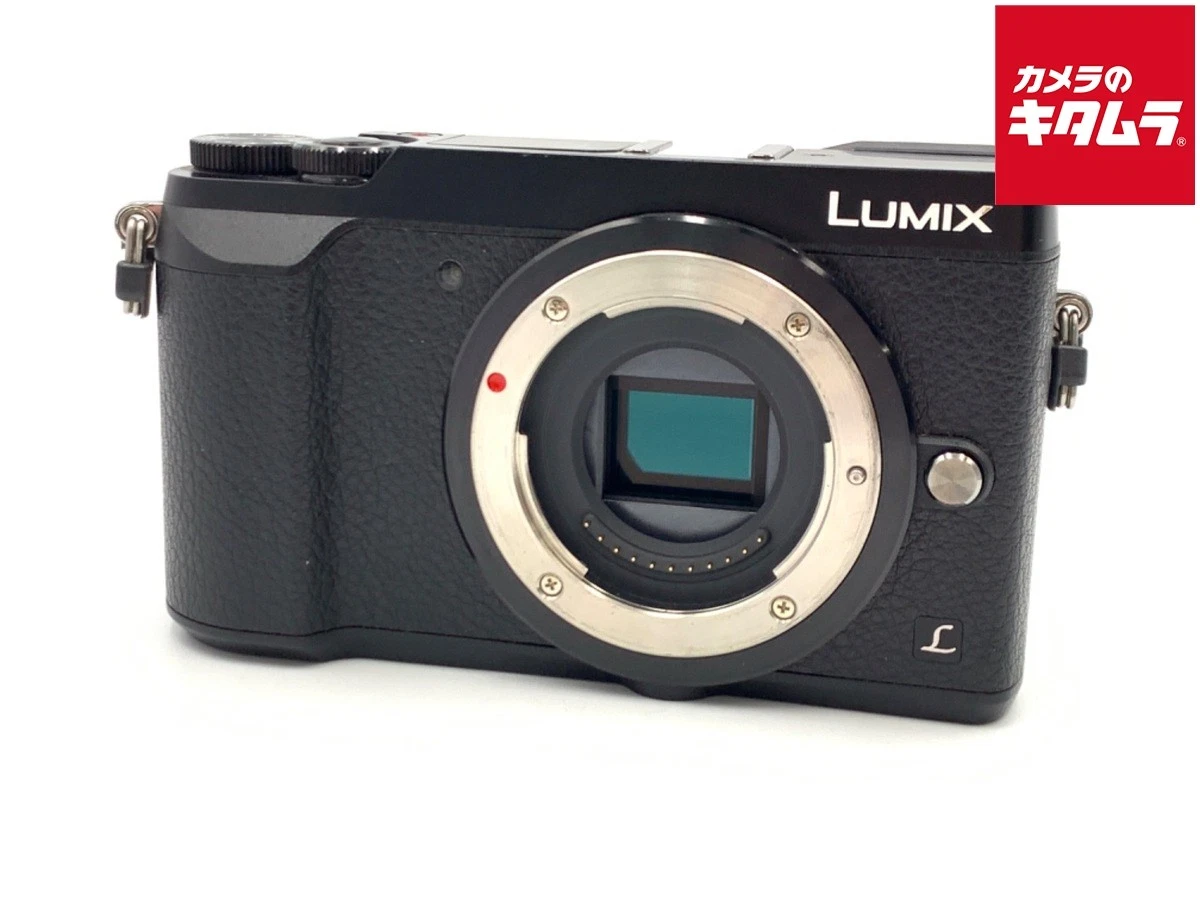 Panasonic LUMIX GX7 1-4.9x Digital Zoom Cameras for Sale | Shop