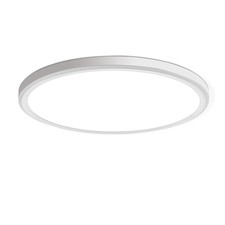 12 Inch LED Flush Mount Ceiling Light 5000K Daylight Ceiling Lamp for Bedroom