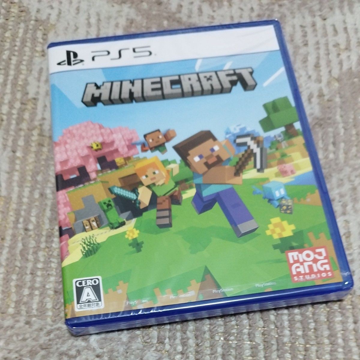 [Near Mint] Minecraft PS5