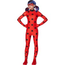 Youth Large ladybug costume