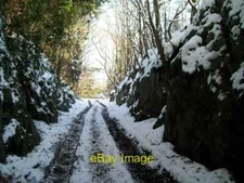 Photo 6x4 Former quarry line cutting at Llwyn Madog Brynrefail  c2010