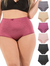 Barbra Womens Underwear High-Waist Light Tummy Control Panties Small-Plus Size
