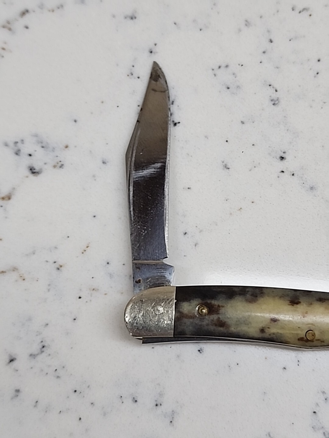 Vintage Case XX A6208 Half Whittler Appaloosa Bone Pocket Knife eBay