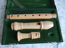 Beautiful Moeck Rottenburgh 239 Alto / Treble Recorder , Baroque, Exellent