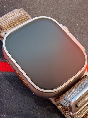 Apple Watch Ultra 2 49mm Titan, Alpine Loop - Oliv, Groß (GPS+LTE)