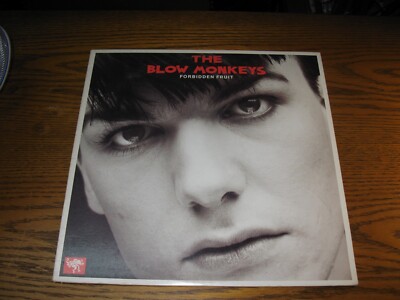 vinyl - The Blow Monkeys - Forbidden Fruit - ultrasonically cleaned - new sleeve