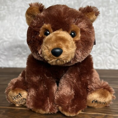 Aurora Grizzly Bear Huck Plush Stuffed Animal St Louis Brown HTF Realistic READ