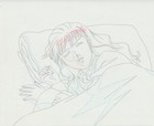 The Twelve Kingdoms Juuni Kokki Genga Douga Original Sketches Pierrot - Youko — photo 9