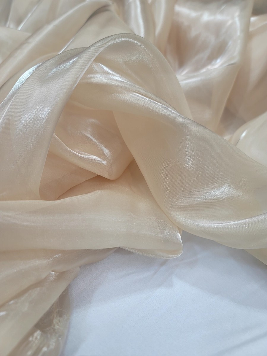princess polly baby blue dress Romantic Beige Organza Regency Ball Gown - Bridgerton Regency Dress Wedding main image 1