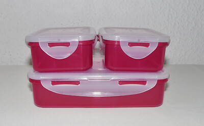 Neu Lock & Lock 3 Frischhalte Dosen Beere Kühlschrank-Behälter 800 ml u. 350 ml