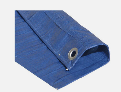 Excraft 18' x 24' Blue Color Heavy Duty Tarp 52014 rot & rust proof (BR