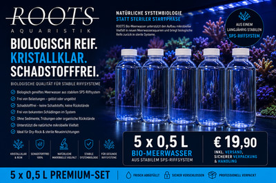 Biologisches Meerwasser für den Neustart von Riffaquarien