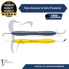 Dental LM ARTE Solo Anterior & Posterior Instruments Set 2pcs