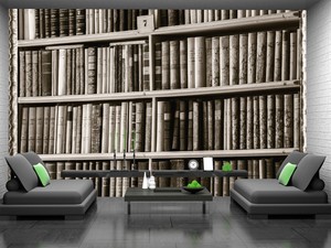 Biggest Library Wall Mural Photo Wallpaper GIANT DECOR Paper Poster