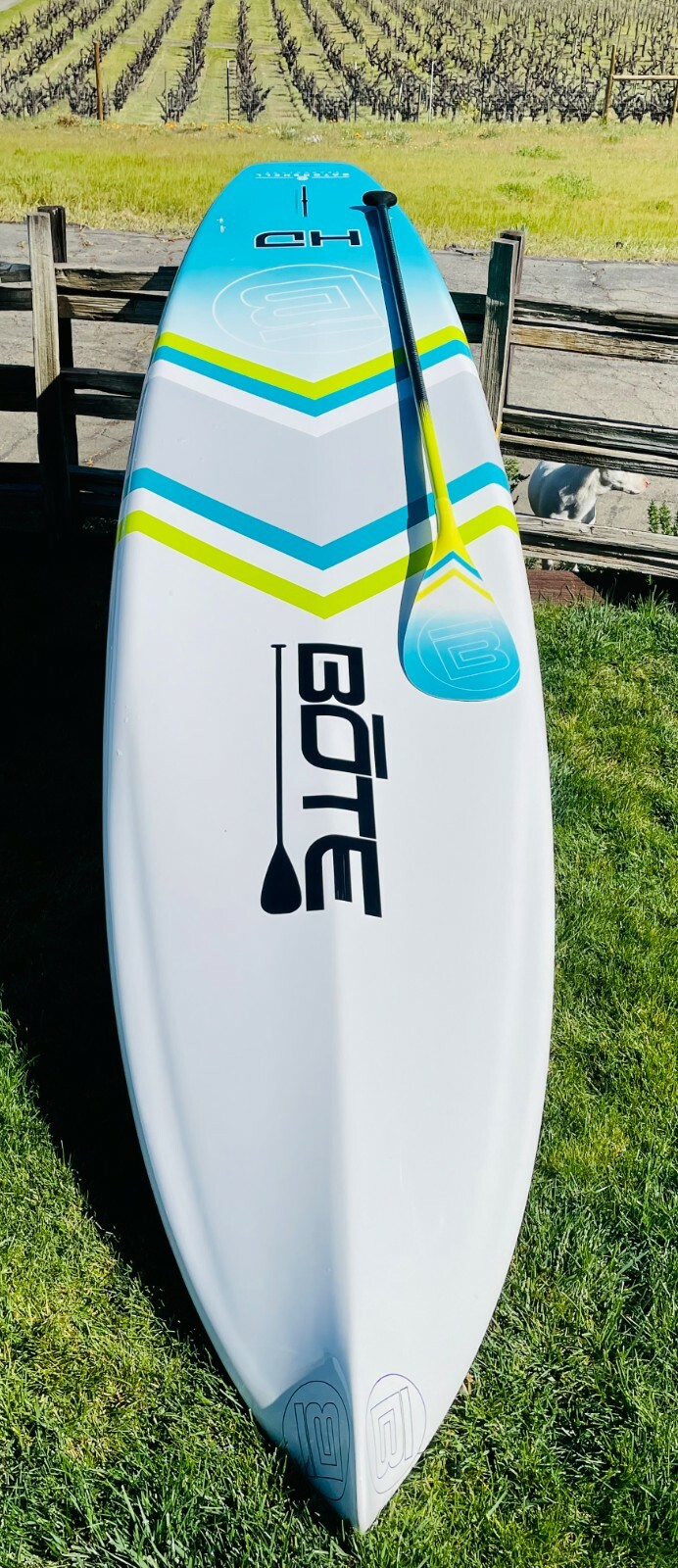 12' BOTE Paddleboards - HD Gatorshell and Rackham (paddles included) | eBay
