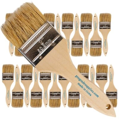 VERMEER 24 Pack - 2" Chip Brushes for Paints, Stains, Varnishes, Glues & Gesso