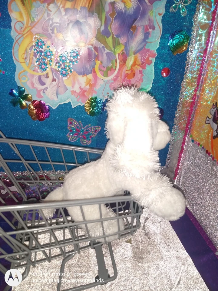 🦄Ganz / Webkinz "Lil' Kinz Poodle" {Dog} White Color HS014 9" Plush! - Image 4 of 4