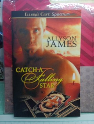 Catch a Falling Star by Allyson James (2009, Trade Paperback)