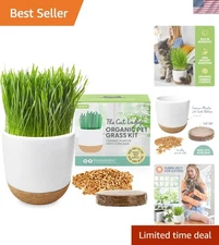 Compact Cat Grass Kit: Organic Seeds & Chic Ceramic Planter - Hairball Control