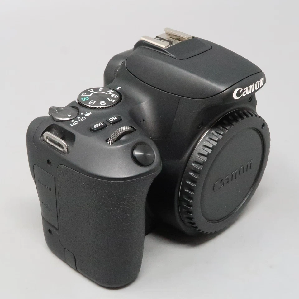 Cámara digital Canon EOS Rebel SL2 24,2 mega píxeles - (solo cuerpo) Foto 2 de 4