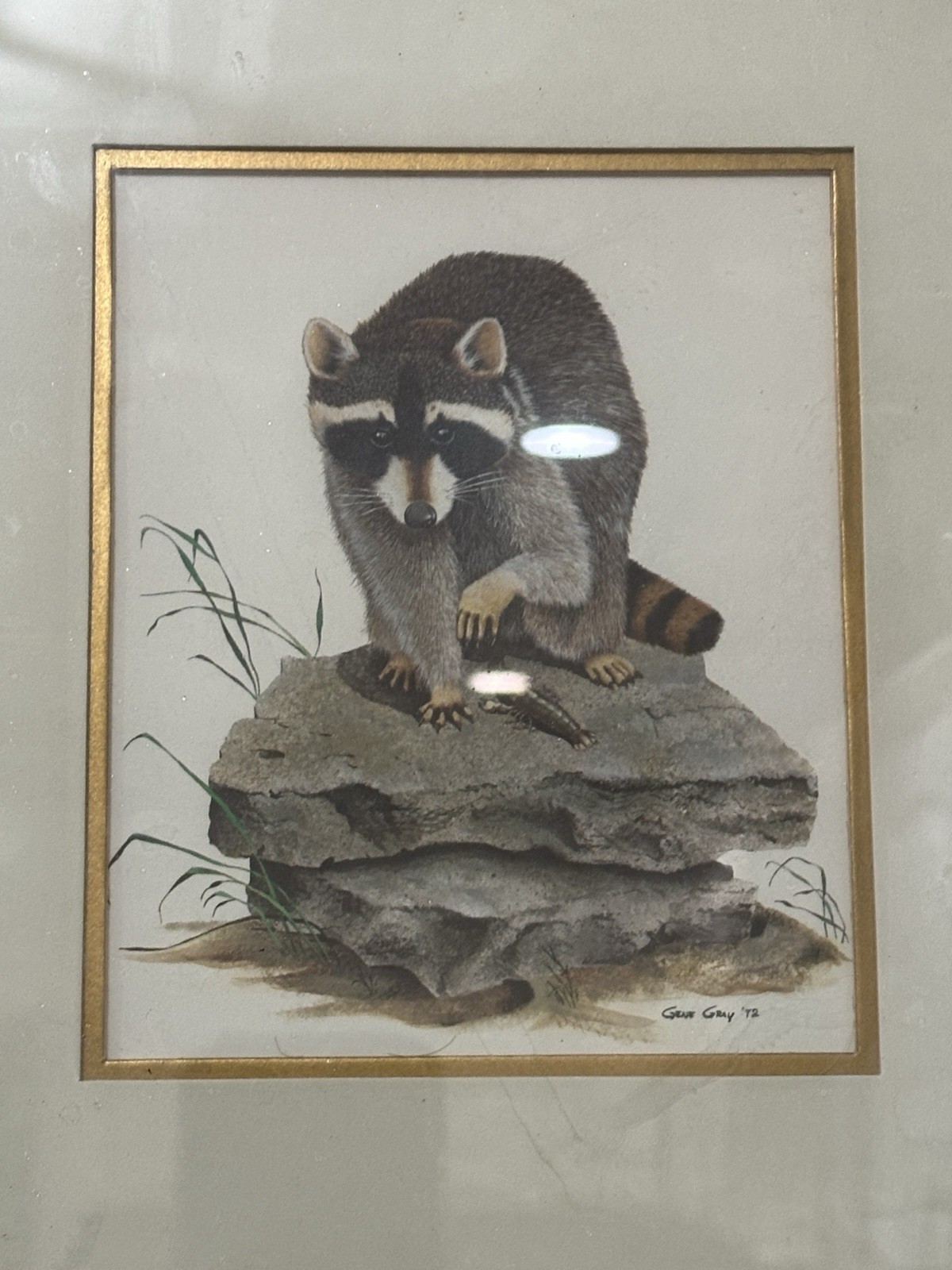 Picture 2 of 5