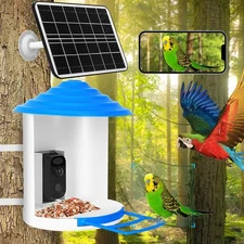 Bird Feeder with Camera Wireless Outdoor Auto AI Capture and Identify Bird Video